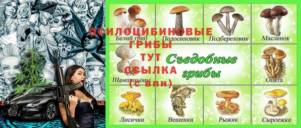 гидропоника Абаза