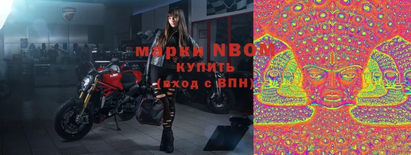 гашик Новокубанск
