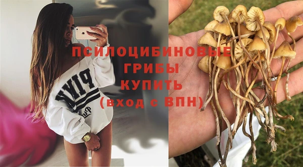 ALPHA PVP Новодвинск