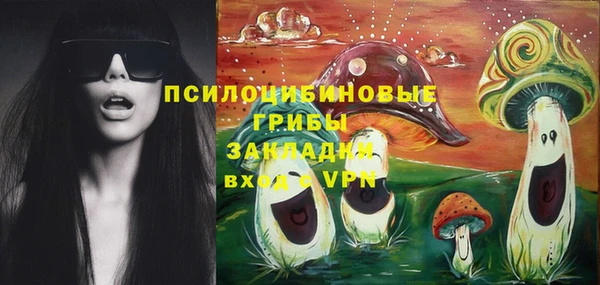 МДПВ Новозыбков