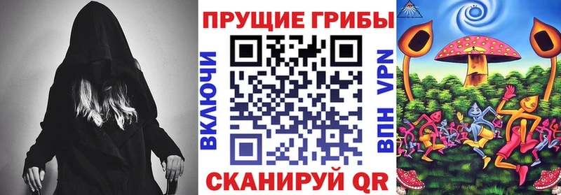 Псилоцибиновые грибы мицелий Чита